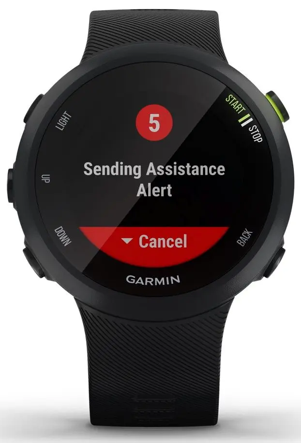 Ceas inteligent Garmin Forerunner 45 (Black)