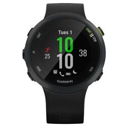 Ceas inteligent Garmin Forerunner 45 (Black)