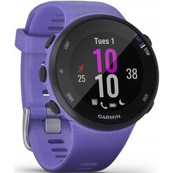 Ceas inteligent Garmin Forerunner 45S (Iris) Thumb