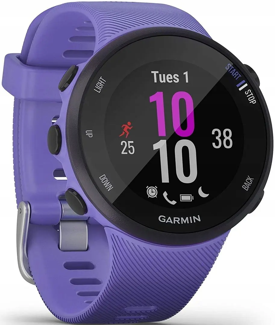 Ceas inteligent Garmin Forerunner 45S (Iris) - 2