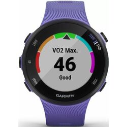 Ceas inteligent Garmin Forerunner 45S (Iris)