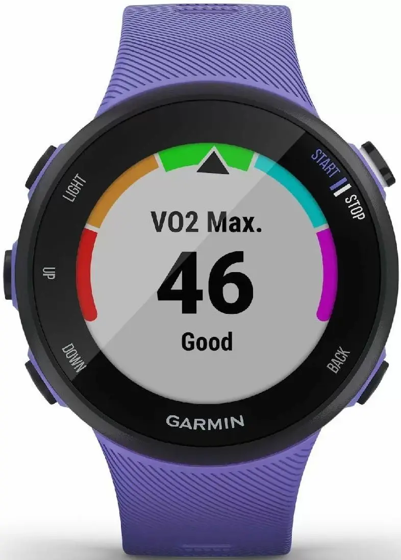 Ceas inteligent Garmin Forerunner 45S (Iris)