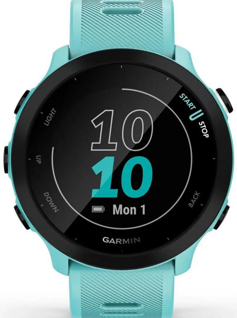 Ceas inteligent Garmin Forerunner 55 (Aqua)