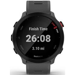 Смарт-часы Garmin Forerunner 55 (Monterra Grey)
