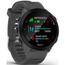 Смарт-часы Garmin Forerunner 55 (Monterra Grey) Thumb