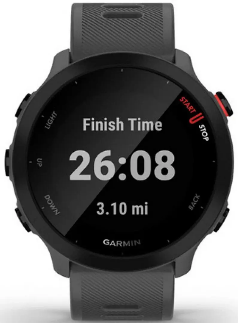 Смарт-часы Garmin Forerunner 55 (Monterra Grey)