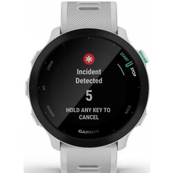 Смарт-часы Garmin Forerunner 55 (White) Thumb