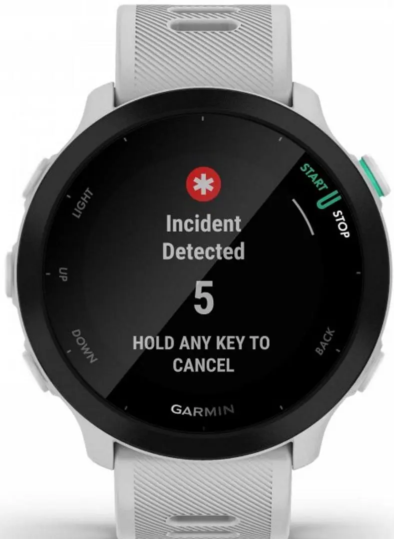 Смарт-часы Garmin Forerunner 55 (White)