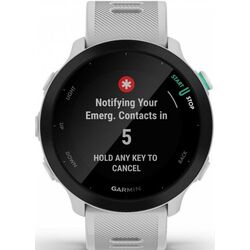 Смарт-часы Garmin Forerunner 55 (White) Thumb