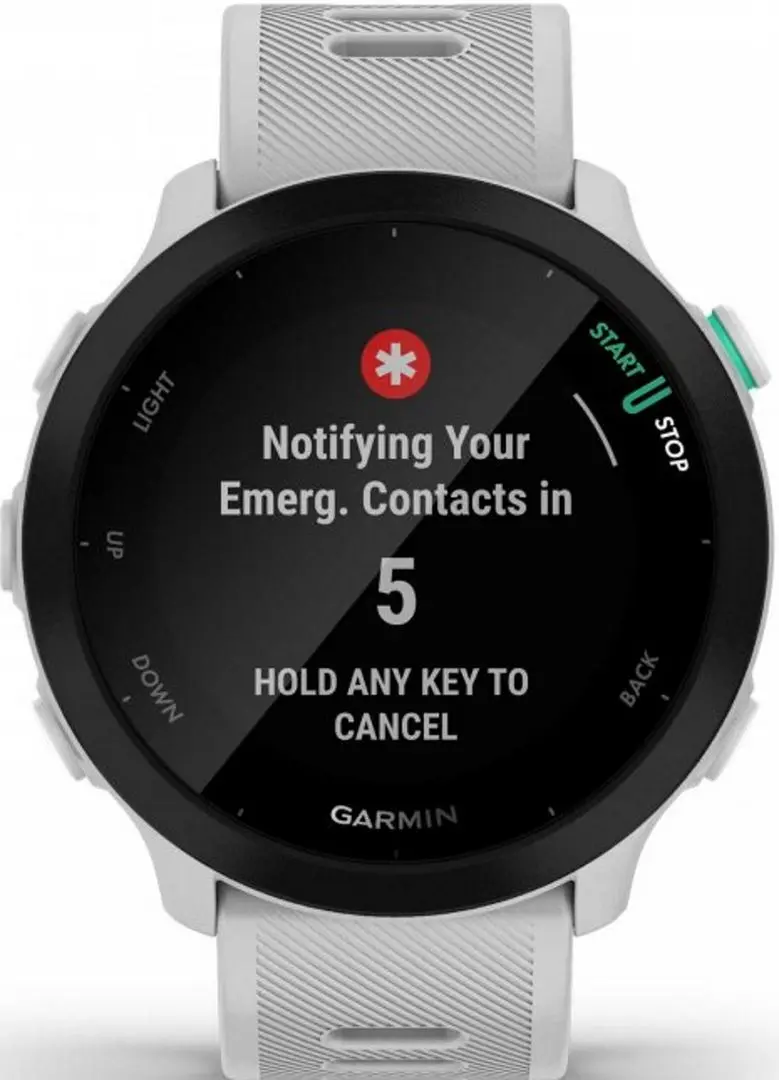 Смарт-часы Garmin Forerunner 55 (White)