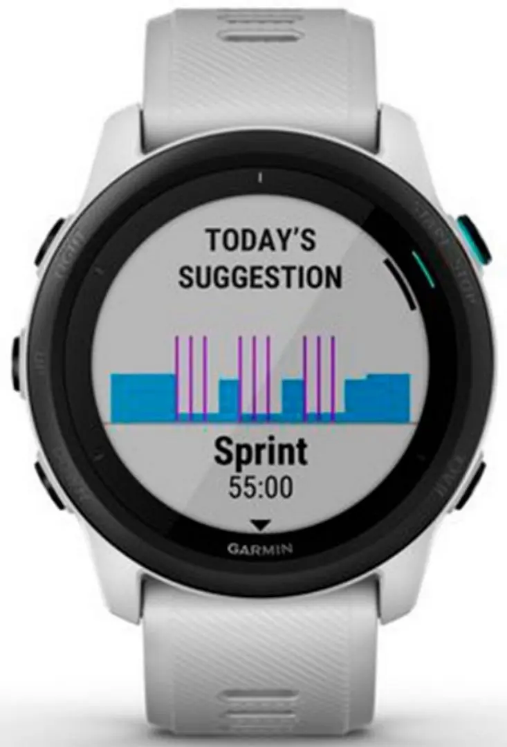 Ceas inteligent Garmin Forerunner 745 (Whitestone Grey)