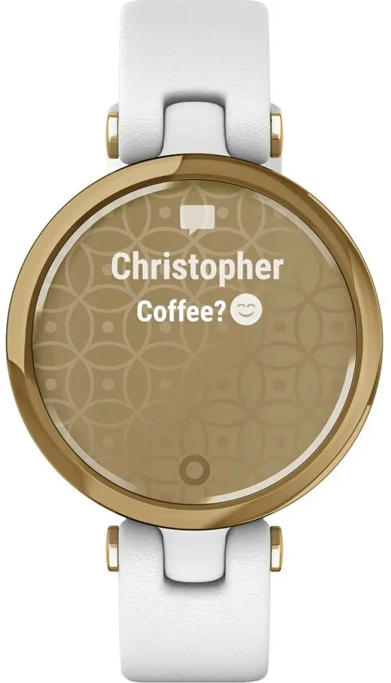 Ceas inteligent Garmin Lily (Light Gold/White)