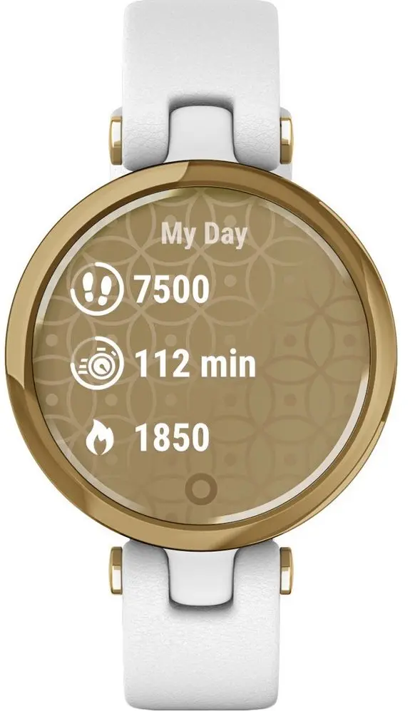 Ceas inteligent Garmin Lily (Light Gold/White)