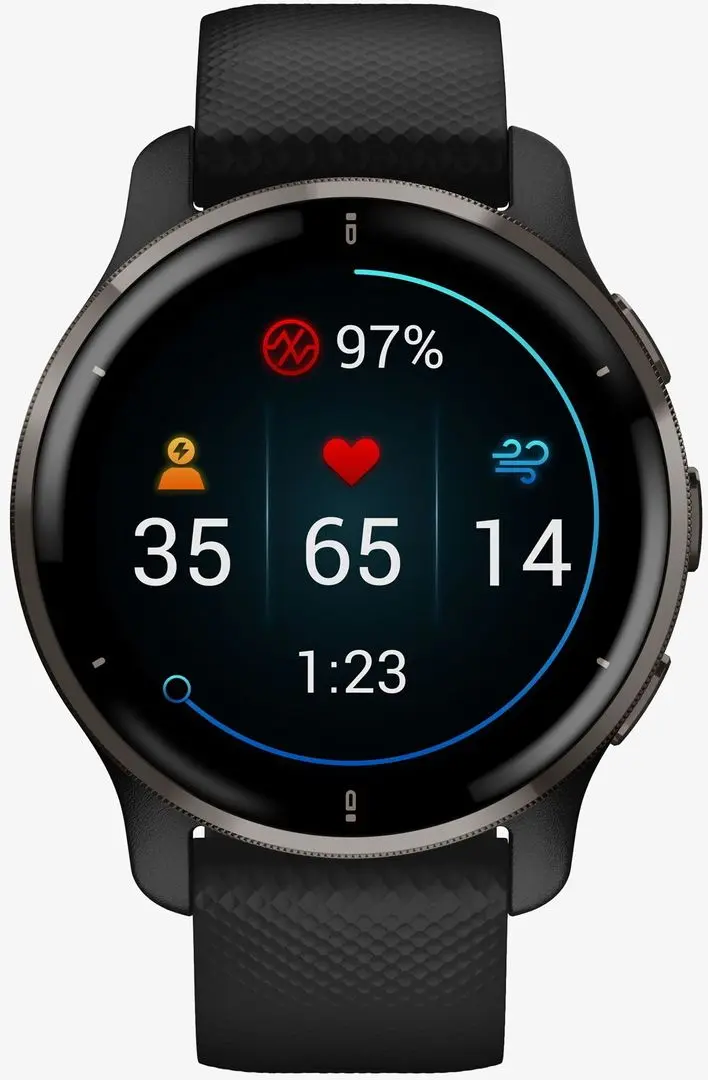 Смарт-часы Garmin Venu 2 (Granite Blue/Silver)