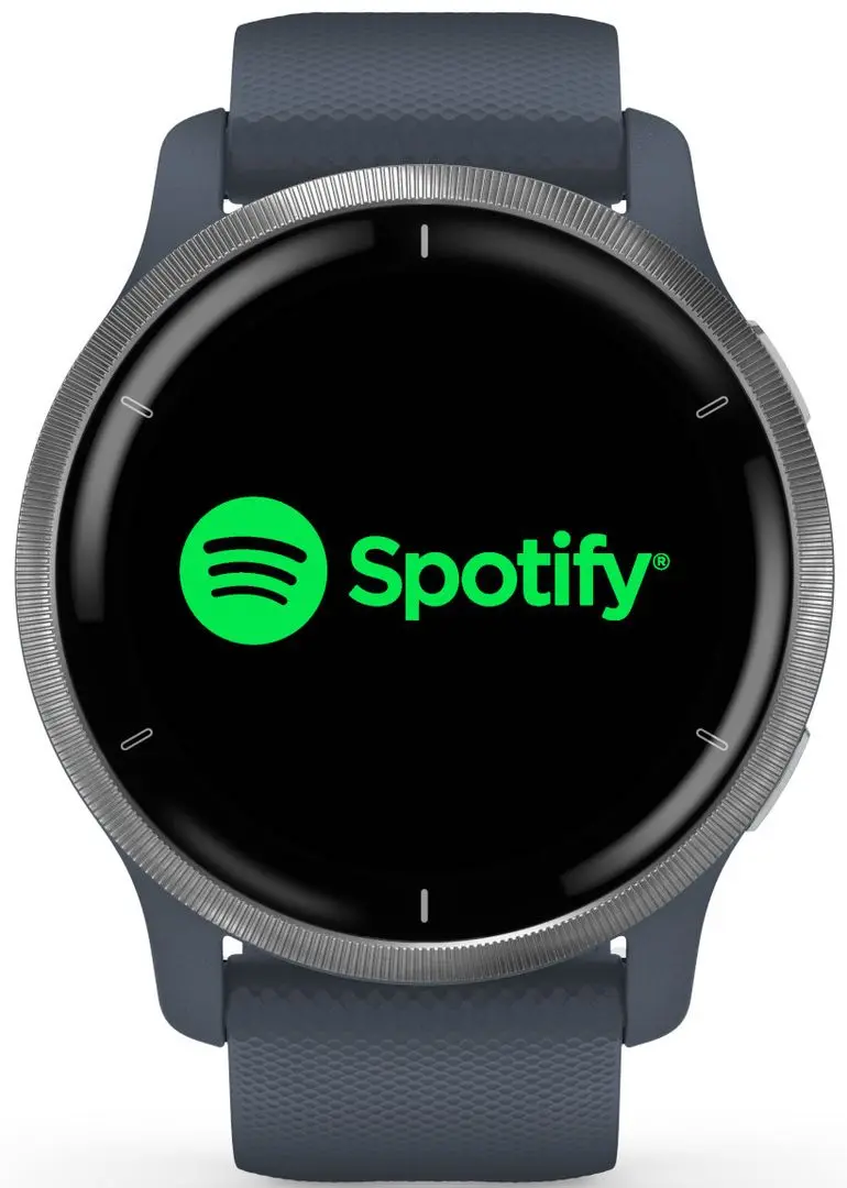 Смарт-часы Garmin Venu 2 (Silver/Blue)