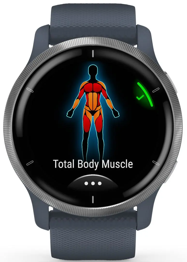 Смарт-часы Garmin Venu 2 (Silver/Blue)