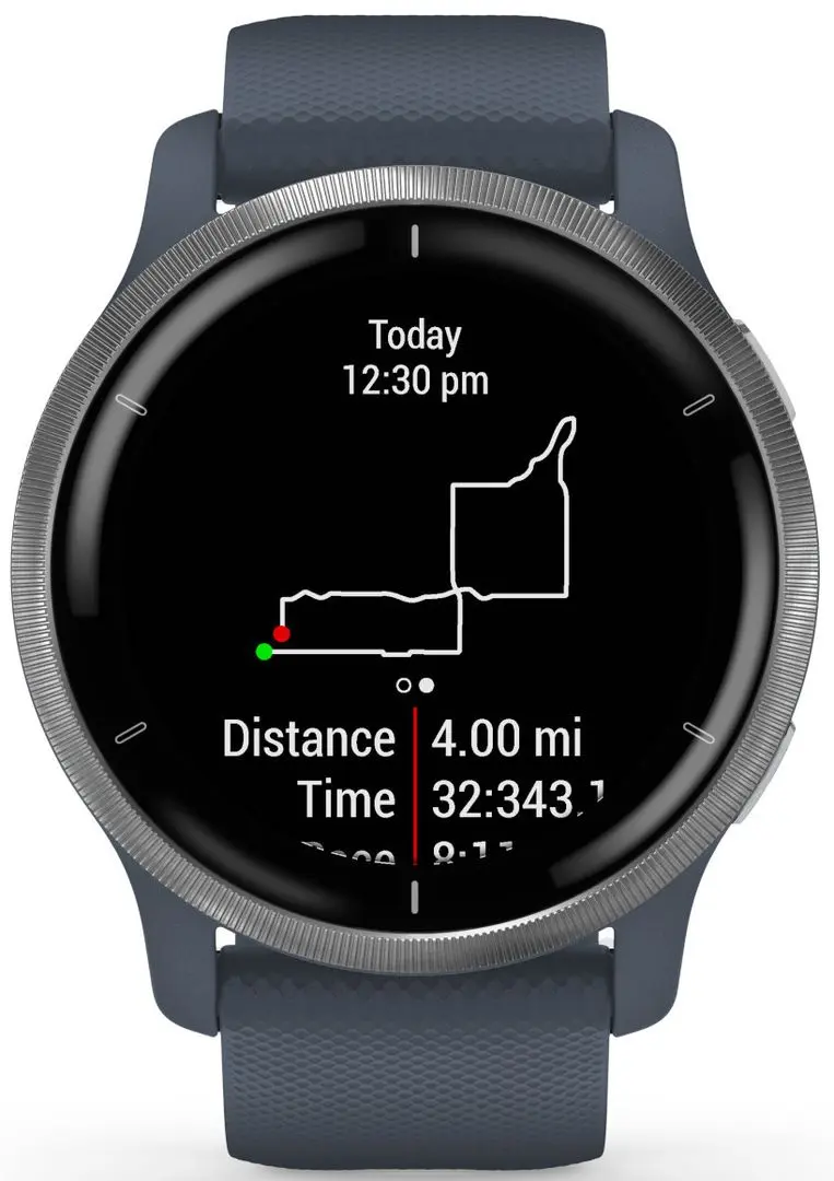 Смарт-часы Garmin Venu 2 (Silver/Blue)