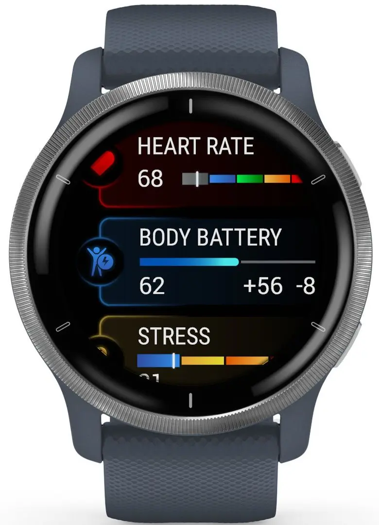 Смарт-часы Garmin Venu 2 (Silver/Blue)