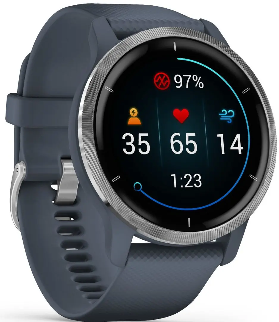Смарт-часы Garmin Venu 2 (Silver/Blue)