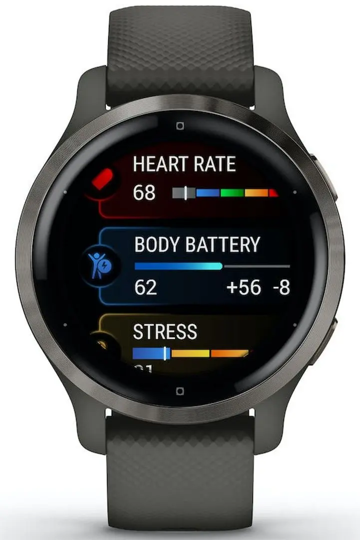 Смарт-часы Garmin Venu 2S (Black)