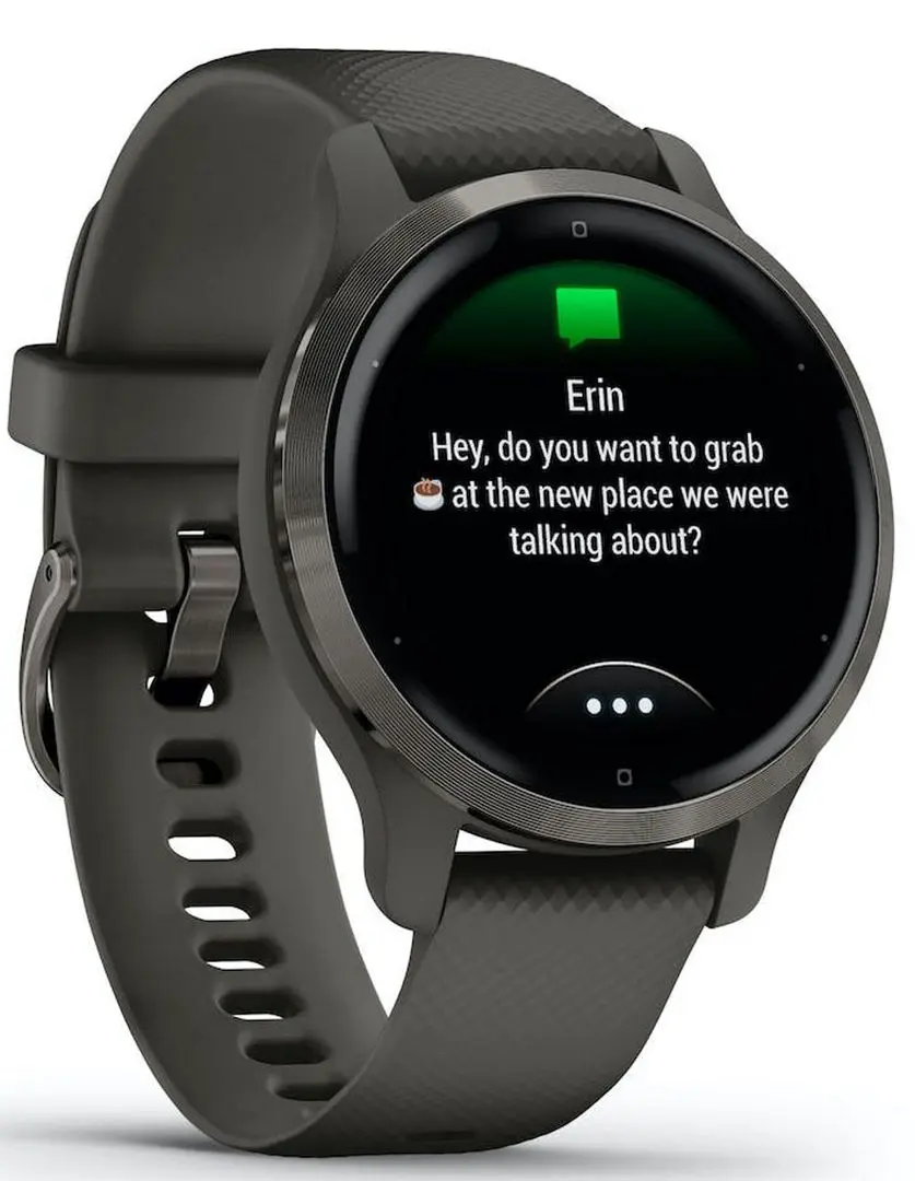 Смарт-часы Garmin Venu 2S (Black)