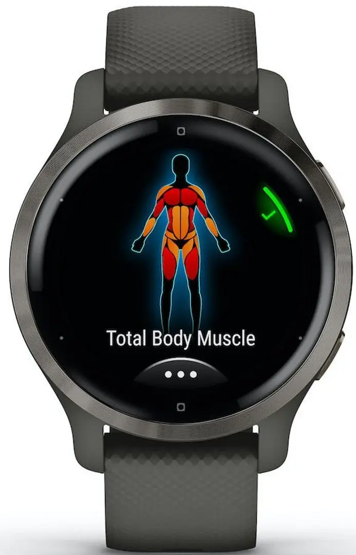 Смарт-часы Garmin Venu 2S (Black)