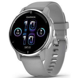 Смарт-часы Garmin Venu 2S Plus (Grey/Silver)
