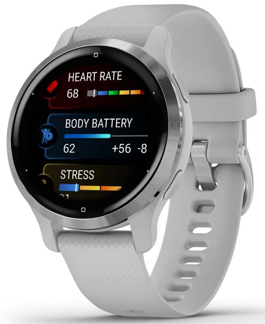 Смарт-часы Garmin Venu 2S (Silver/Gray)