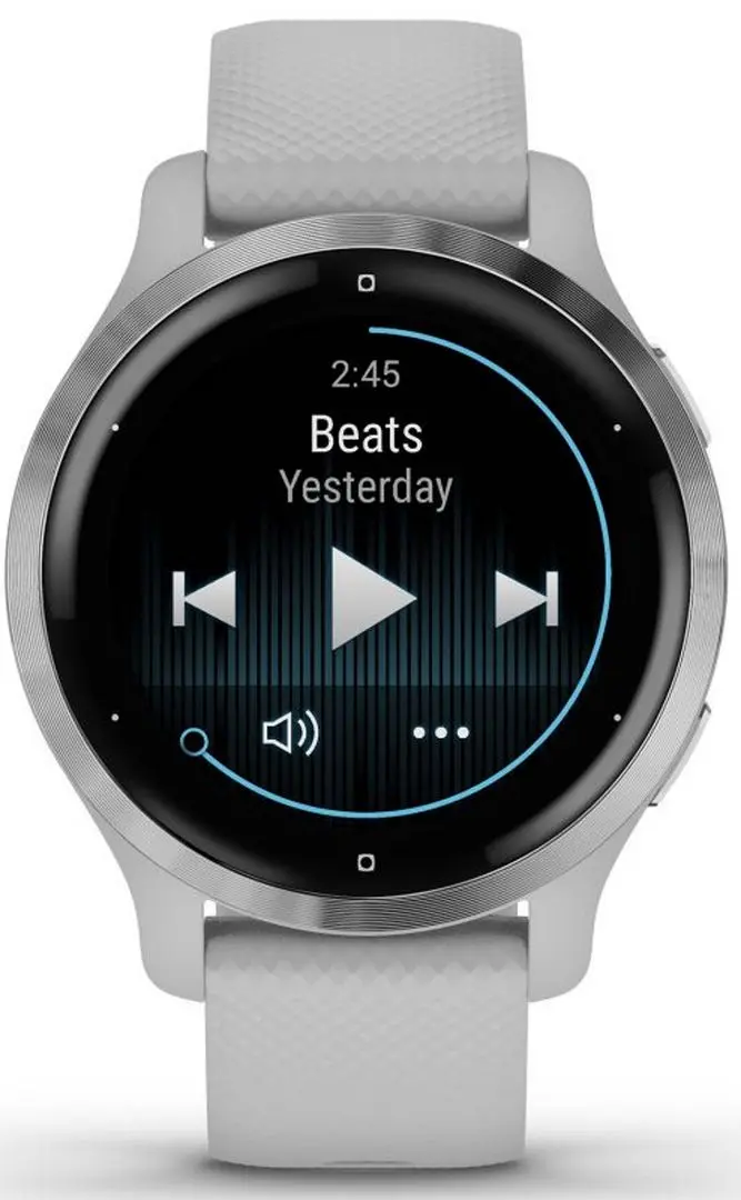 Смарт-часы Garmin Venu 2S (Silver/Gray)