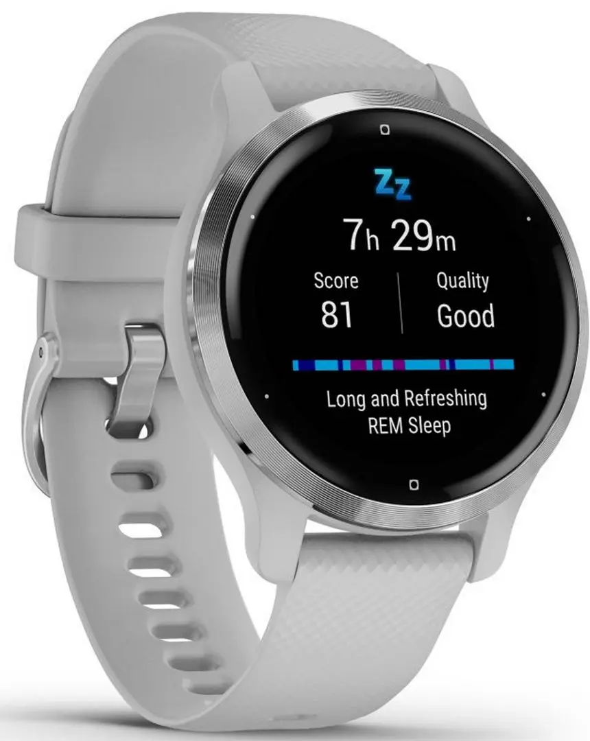 Смарт-часы Garmin Venu 2S (Silver/Gray)