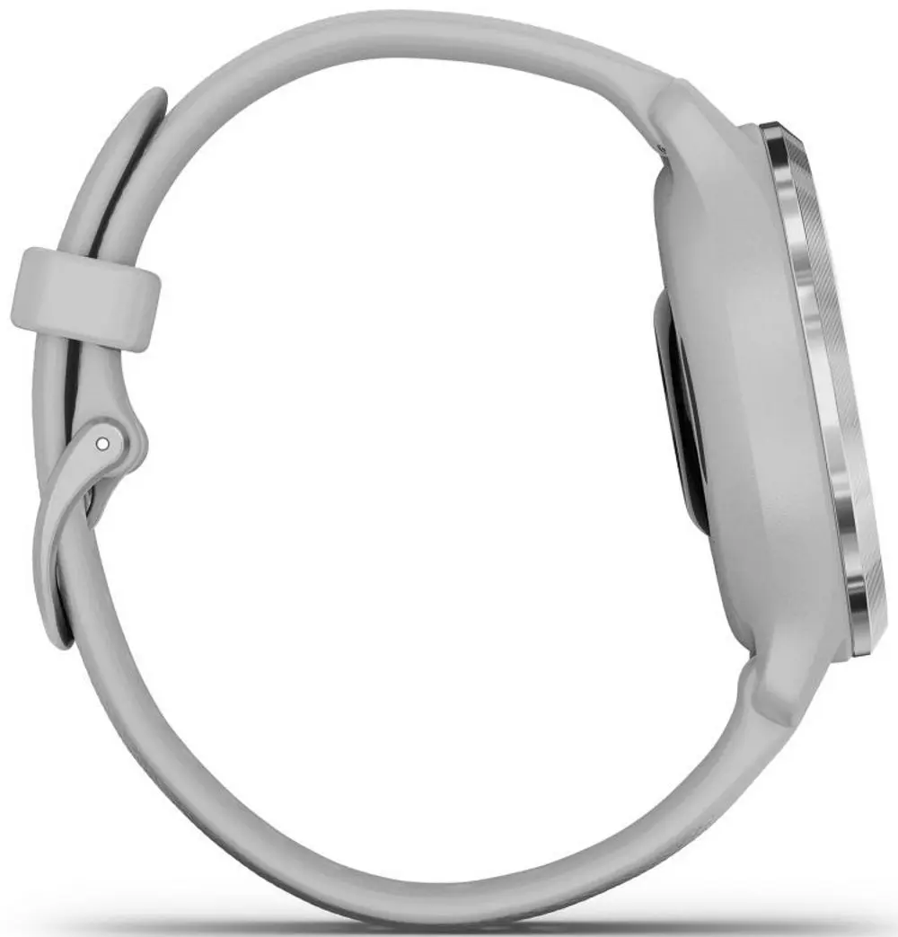 Смарт-часы Garmin Venu 2S (Silver/Gray)