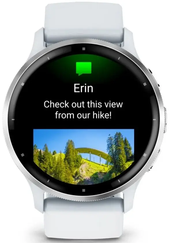 Смарт-часы Garmin Venu 3 (Whitestone/Passivated)