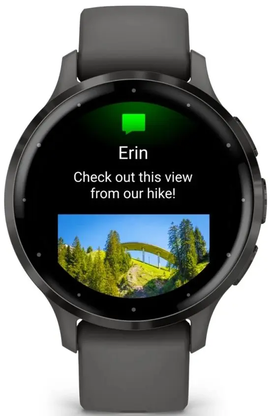 Ceas inteligent Garmin Venu 3S (Pebble Gray/Slate)