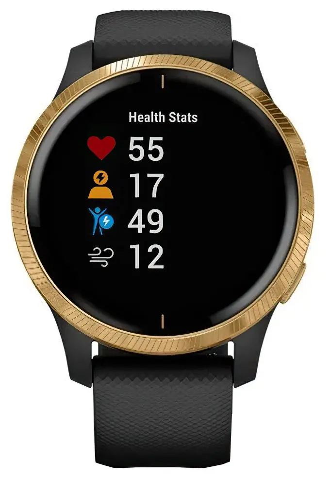 Ceas inteligent Garmin Venu (Black/Gold)
