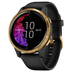 Ceas inteligent Garmin Venu (Black/Gold)