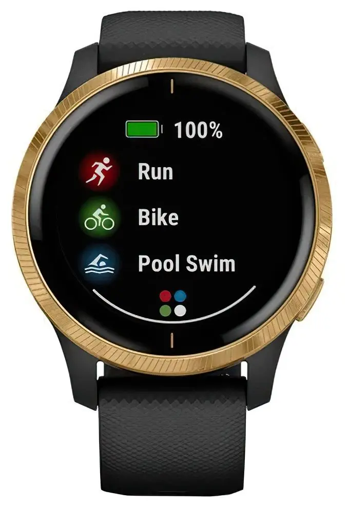 Ceas inteligent Garmin Venu (Black/Gold)