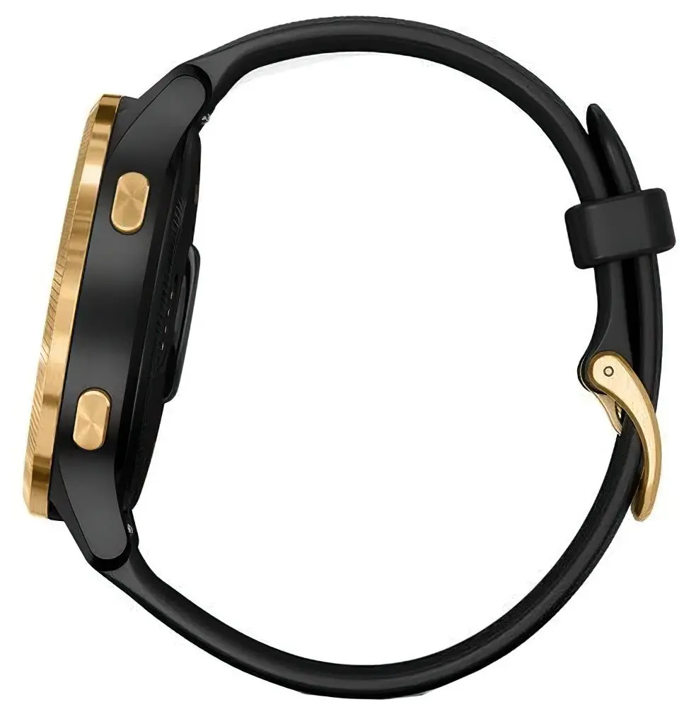 Ceas inteligent Garmin Venu (Black/Gold)