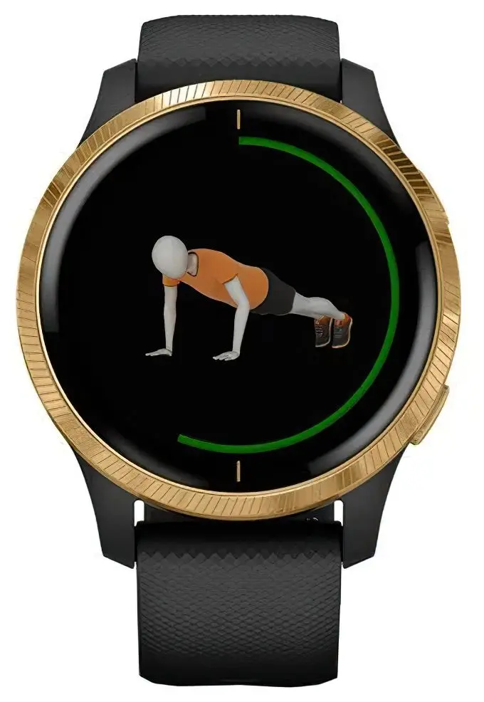 Ceas inteligent Garmin Venu (Black/Gold)