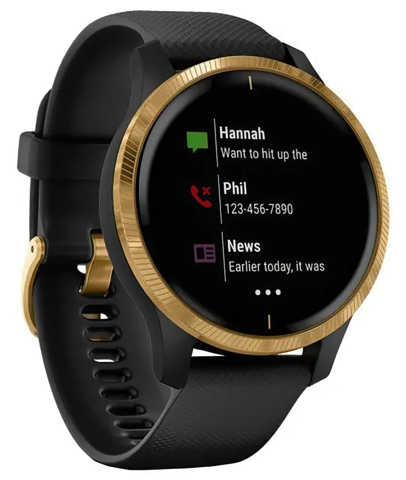 Ceas inteligent Garmin Venu (Black/Gold)
