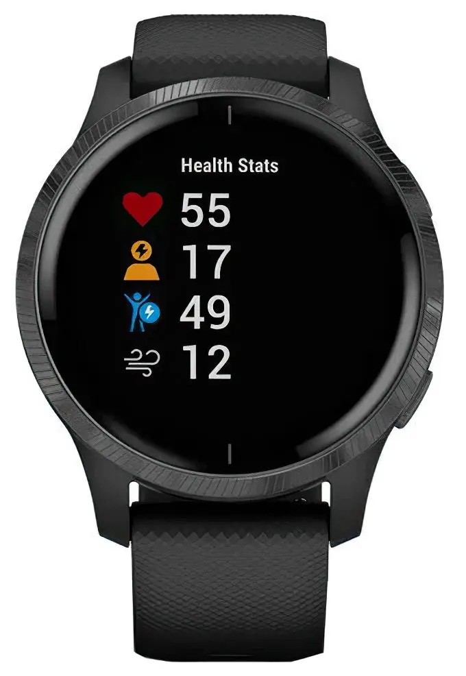 Смарт-часы Garmin Venu (Black/Slate)