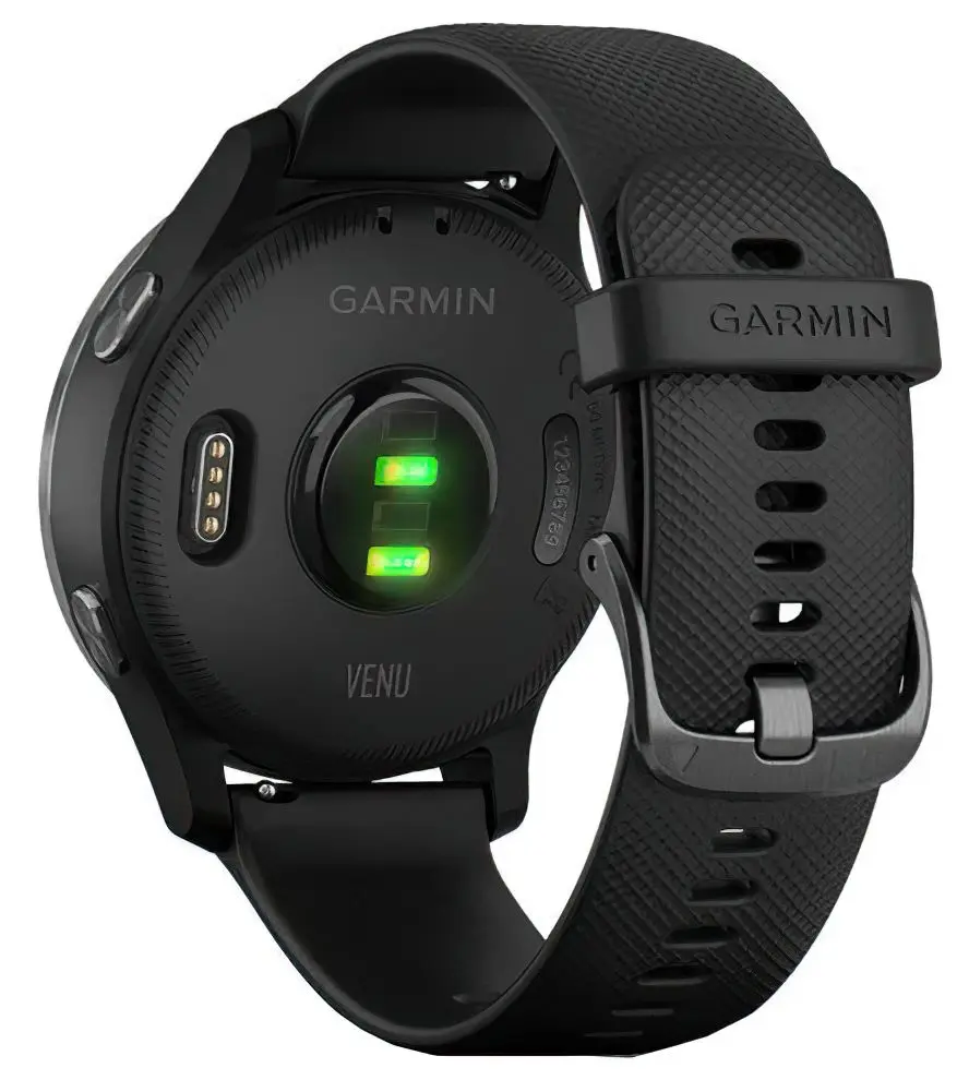Смарт-часы Garmin Venu (Black/Slate)