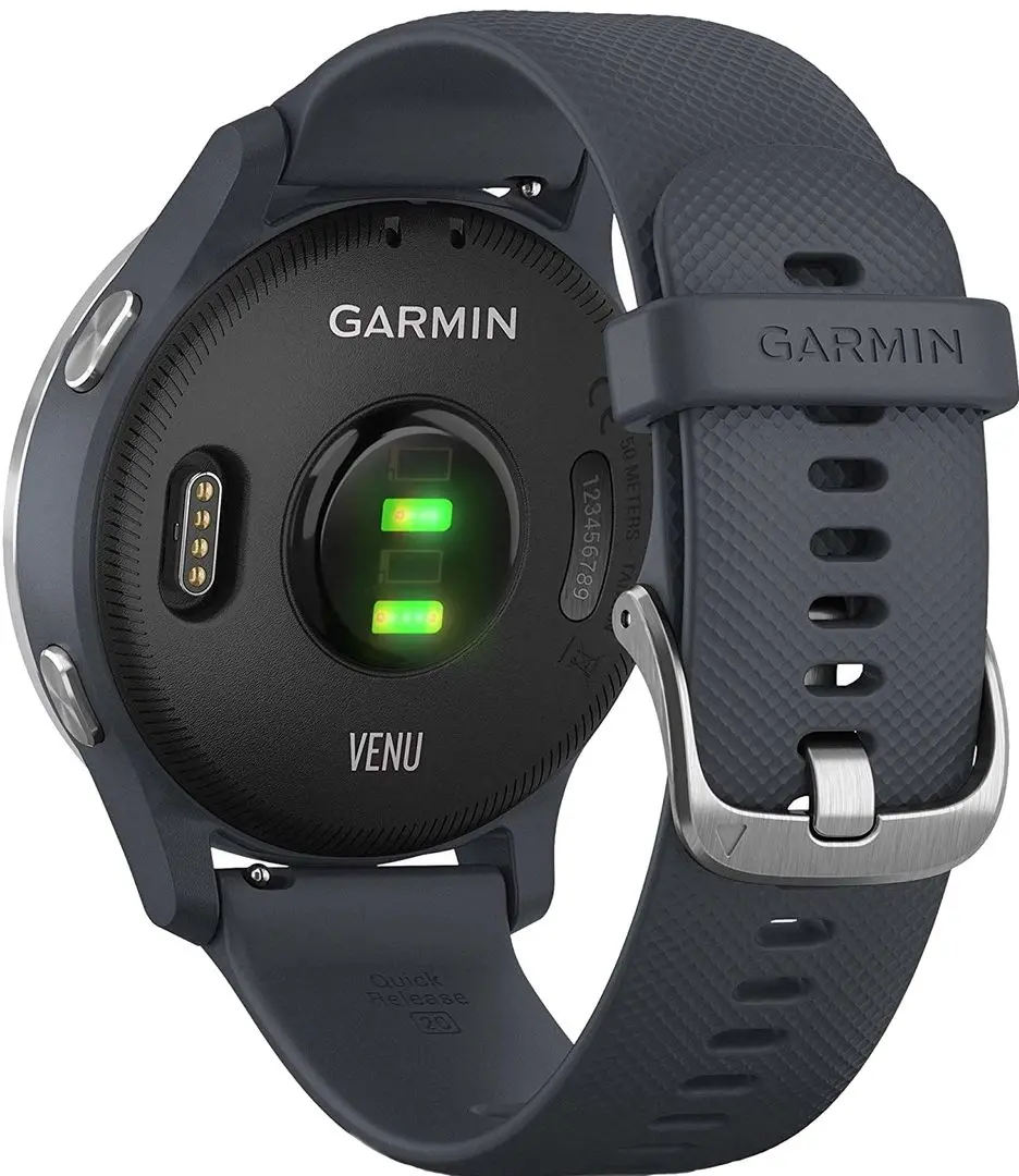 Смарт-часы Garmin Venu (Granite Blue/Silver)