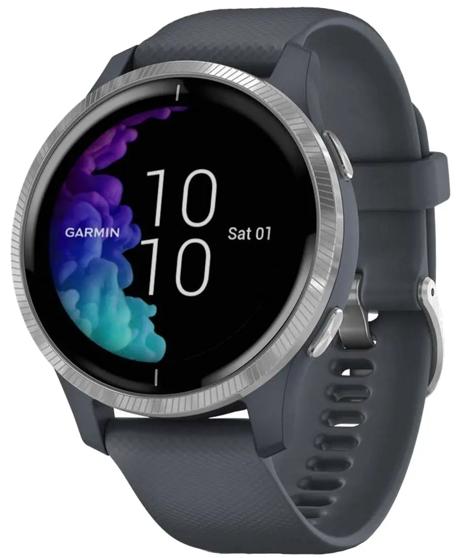 Смарт-часы Garmin Venu (Granite Blue/Silver)