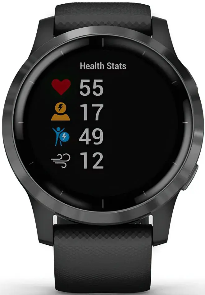 Ceas inteligent Garmin Vivoactive 4 (Black/Slate Gray)
