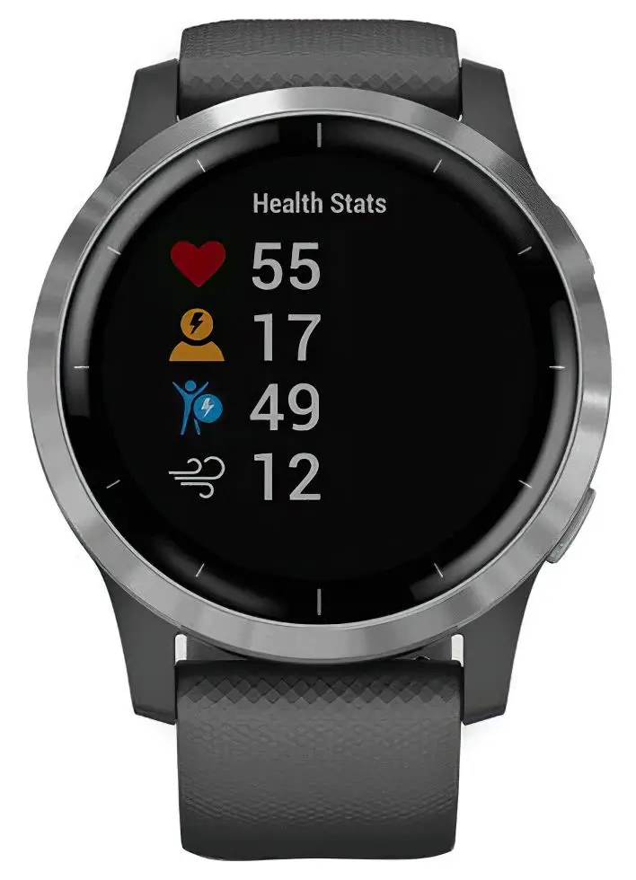 Ceas inteligent Garmin Vivoactive 4 (Shadow Gray/Silver)
