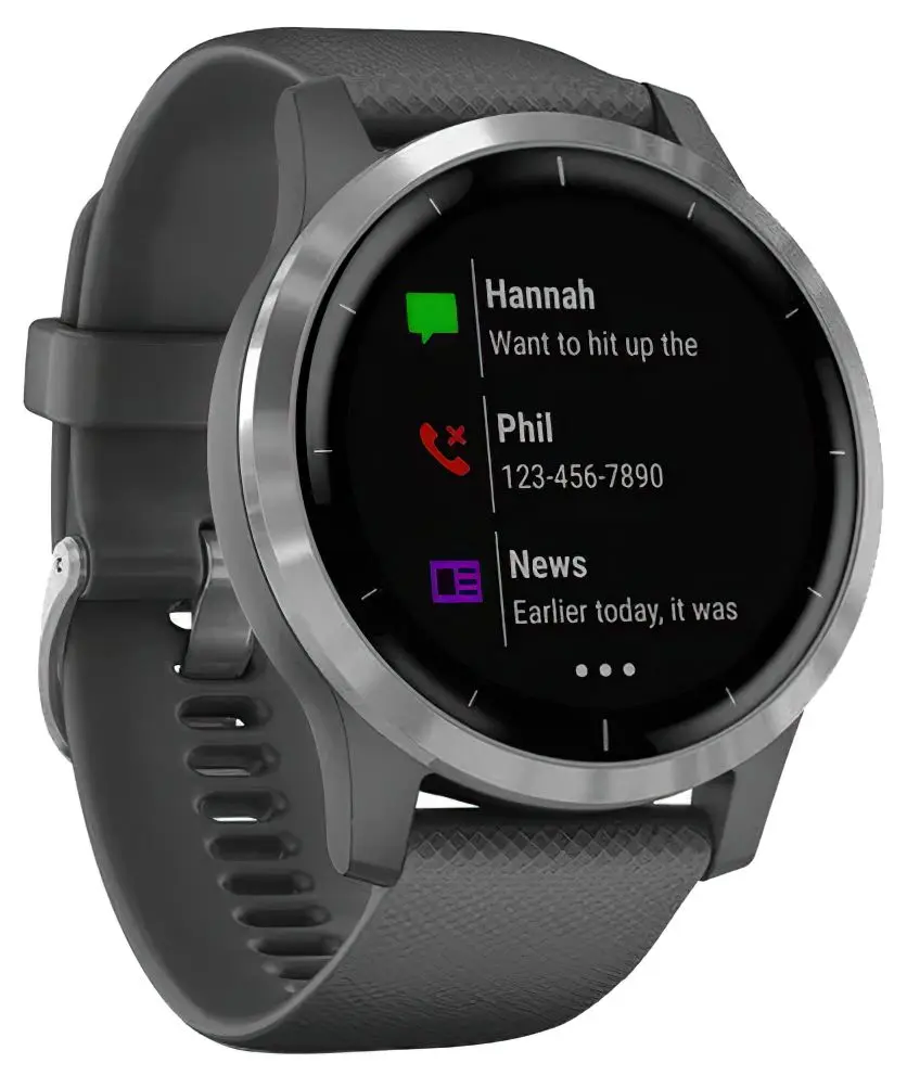 Ceas inteligent Garmin Vivoactive 4 (Shadow Gray/Silver)