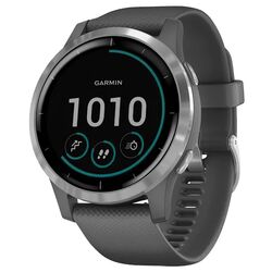 Ceas inteligent Garmin Vivoactive 4 (Shadow Gray/Silver)