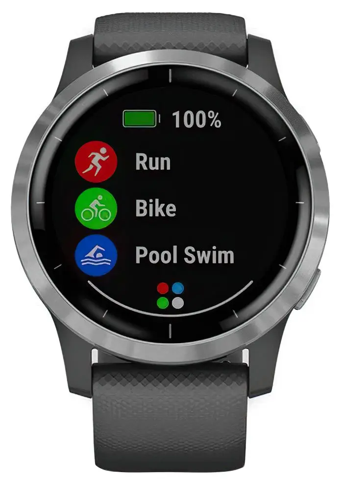 Ceas inteligent Garmin Vivoactive 4 (Shadow Gray/Silver)