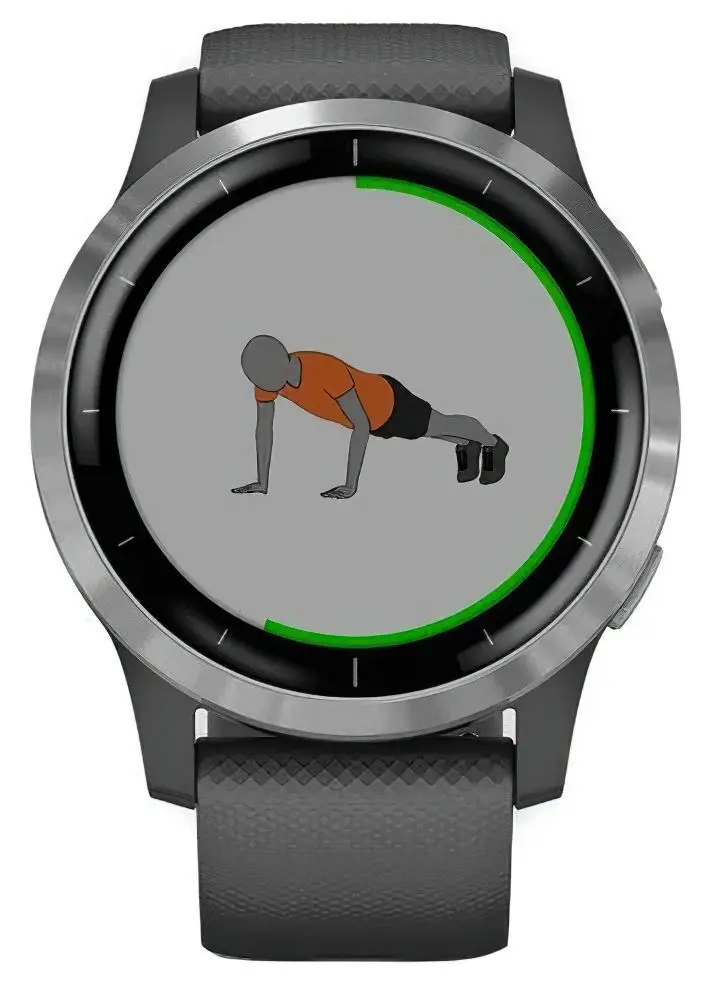 Ceas inteligent Garmin Vivoactive 4 (Shadow Gray/Silver)