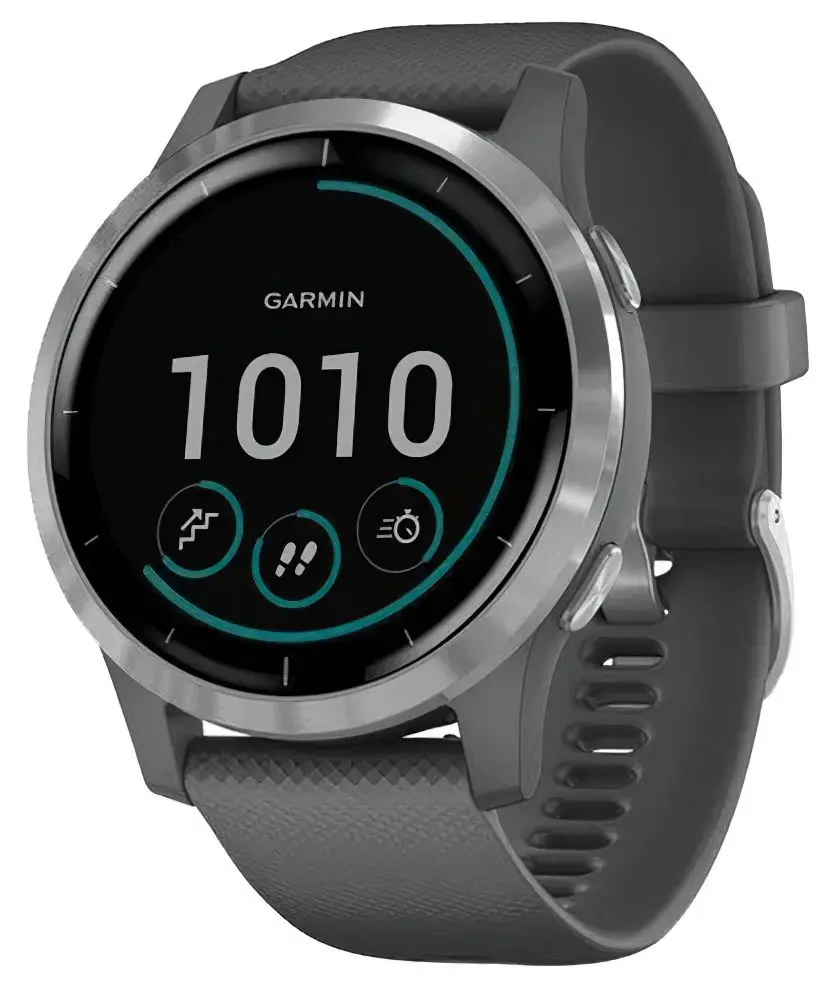 Ceas inteligent Garmin Vivoactive 4 (Shadow Gray/Silver)